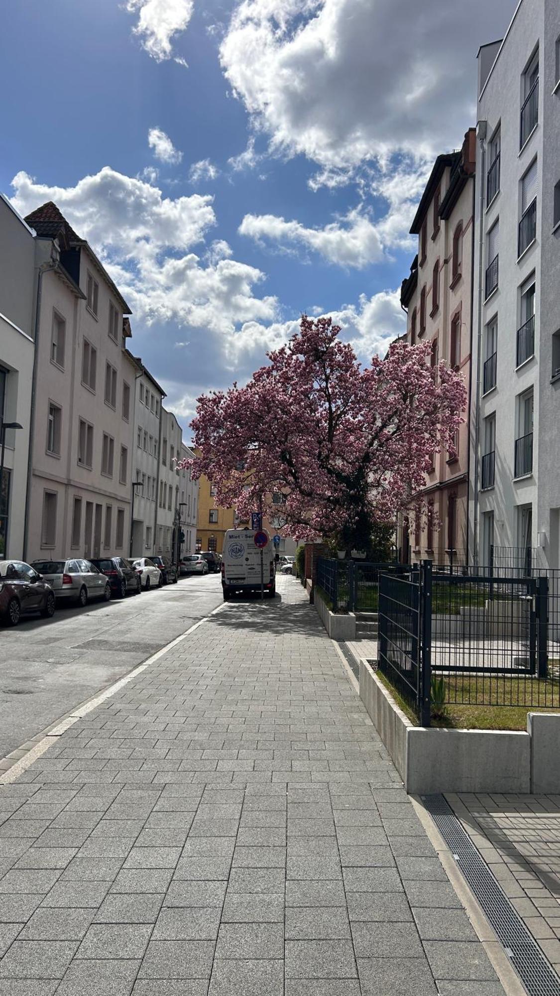 Apartment Nest Offenbach am Main