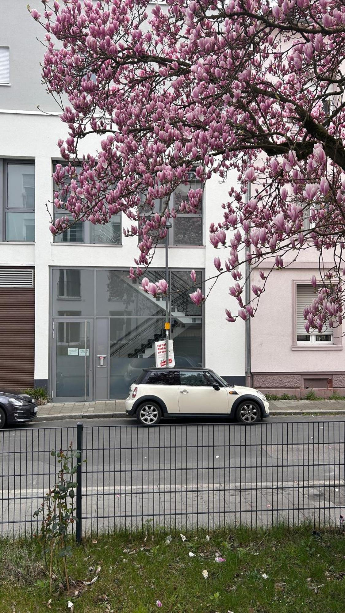 Apartment Nest Offenbach am Main
